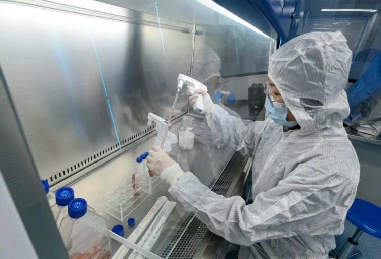 深圳细胞产业迎来新引擎 “大湾区国际综合细胞库与区域制备中心”揭牌，加速技术研发与应用